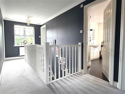 Picture 12